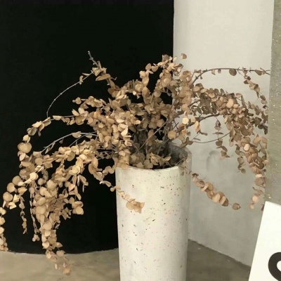 兽设原创设计欣赏福瑞交流群